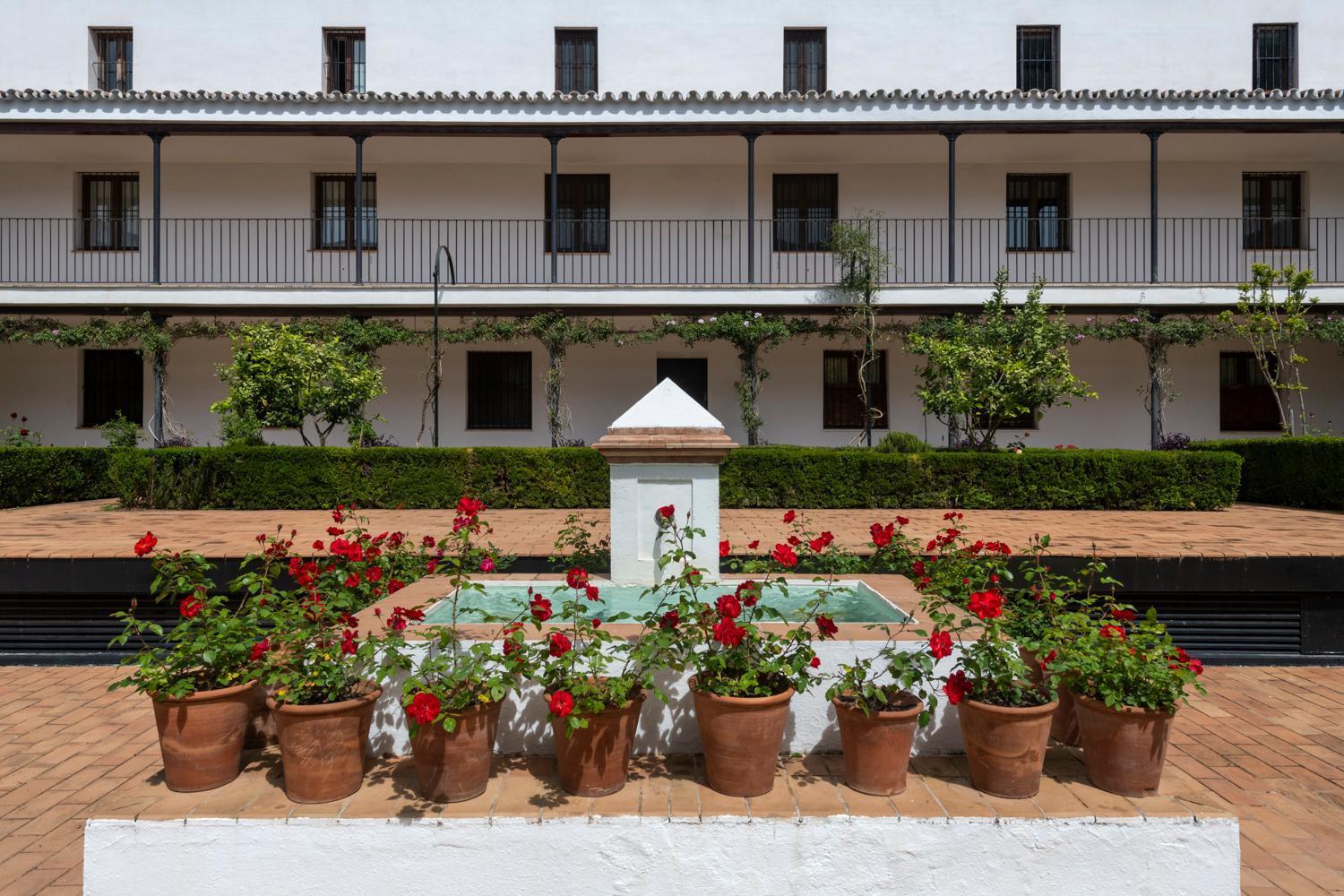 Magno Apartments San Laureano - Private Parking Included Sevilla Exteriör bild